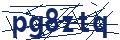 Captcha code required for form validation