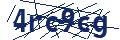 Captcha code required for form validation